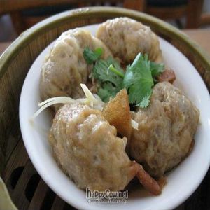 Dim sim at Green Gourmet in Newtown