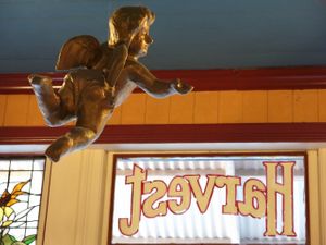 Harvest at Harvest in Rozelle