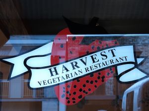 Harvest at Harvest in Rozelle