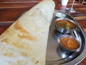 paper masala dosa at Maya Vegetarian Chat House in Surry Hills