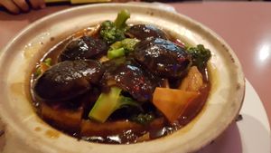 Claypot tofu with shitake and brocolli. A bit salty $18++ at Mother Chu's Vegetarian Kitchen in Sydney