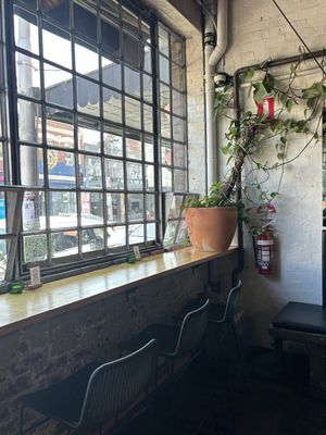   at Vegie Bar in Fitzroy