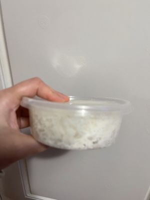   at Global Vegetarian in Ormond