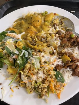 Not so hungry $10  at Gopals in Melbourne