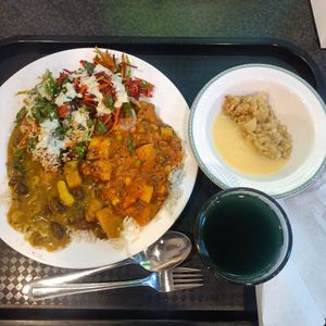 Vegan platter for $12.50 at Gopals in Melbourne