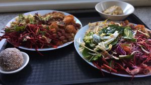 vegan plates! at Gopals in Melbourne