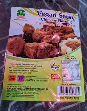 Vegan satay chicken (amazing) at Vincent Vegetarian Food in Footscray