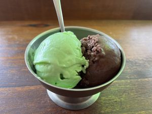 Dutch chocolate and coconut pandan ice cream   at Tofulicious in Richmond
