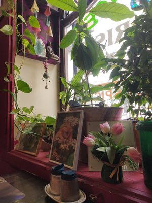  at Bio Bistro Spicy Spices in Salzburg