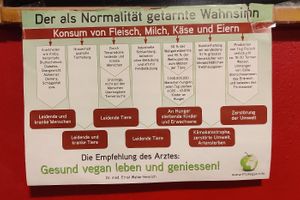  at Bio Bistro Spicy Spices in Salzburg