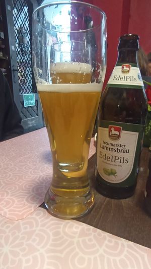 Beer at Bio Bistro Spicy Spices in Salzburg