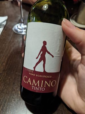 Organic vegan wine at Bio Bistro Spicy Spices in Salzburg