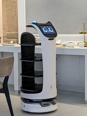 Automated Robot that brings the hot pots to the tables...adorable. at Vegetasia in Vienna