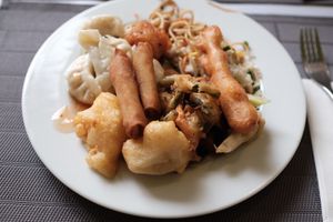 Plate 2 at Vegetasia in Vienna