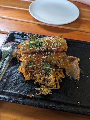 Spring rolls at Hollerei in Vienna