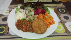 Dish of the day: cereal and vegetable steak, red and brown rice, lentils, cauliflower, celery, radishes, green beans, green salad, carrots. at De Bron - Pre-order only - Maybe closed in Bruges