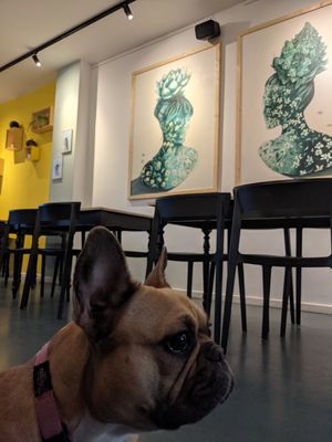 Dogs are allowed inside at Lekker GEC in Ghent