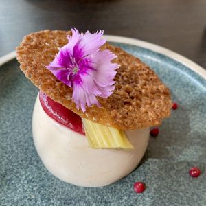 Rhubarb and ginger panacotta at Food For Friends in Brighton