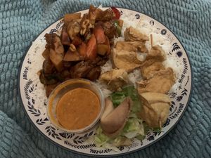 Yellow bean sauce with vegan chicken, satay tofu skewers (sauce separate in the pot to pour over), rice, complimentary fortune cookie  at Veggie World in Milton Keynes
