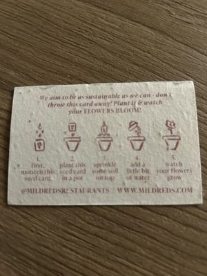 biglietto da visita con semi da piantare al suo interno   at Mildreds - Soho in London