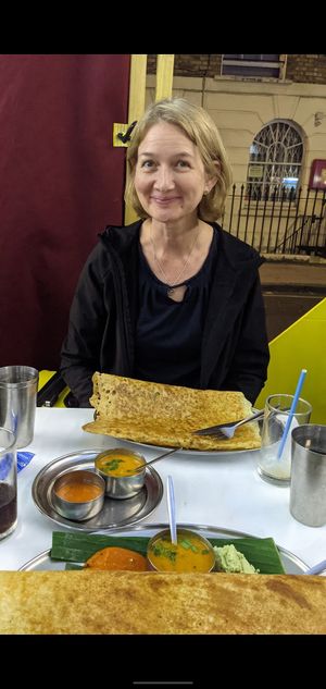 Mains at Diwana Bhel Poori House in North West London