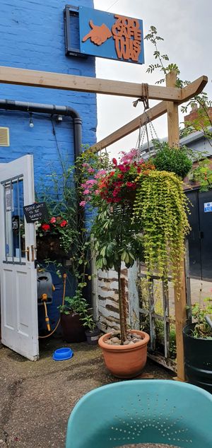 Outside seating area with lots of lovely greenery! at The Zoo in Hull