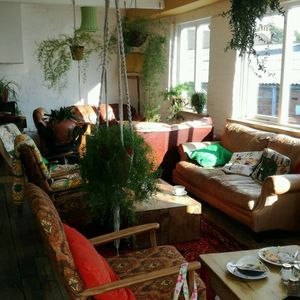 Beautifully comfy seating at The Zoo in Hull