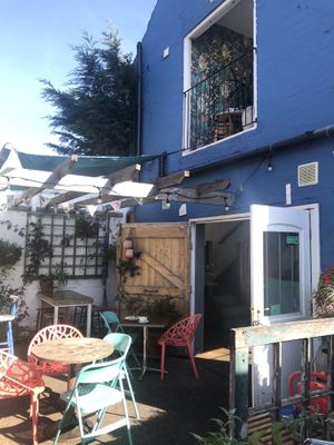 Outside at The Zoo in Hull