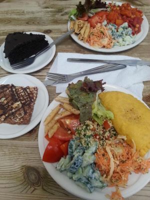 Jamaica pattie with salad, roast butternut squash, chick pea and red peppee bake, both served with salads. peanut butter blondie and dark choc cake at Blue Moon Cafe in Sheffield