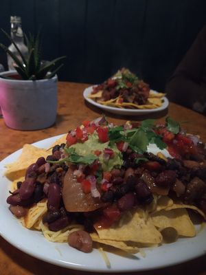 Nacho deluxe with vegan cheese and sour cream at Herbies in Exeter