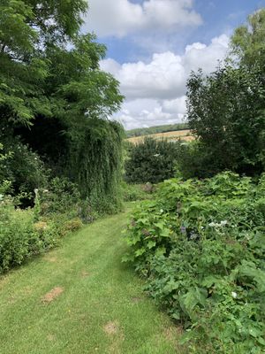 Garden view at La Maison du Vert in Ticheville