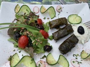 Rouleaux de vignes  at La Maison du Vert in Ticheville