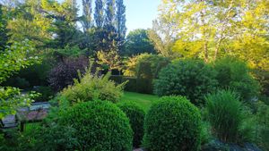 Garden at La Maison du Vert in Ticheville