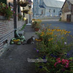 One of the 8 resident cats, Scampi, in front of La Maison Du Vert. at La Maison du Vert in Ticheville