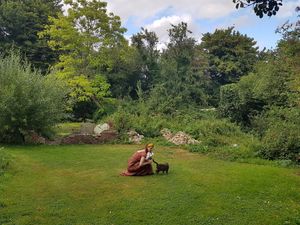 Cats in the perfect garden at La Maison du Vert in Ticheville
