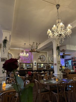   at Hiller in Hannover