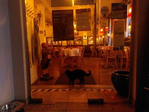 The security guard at Hiller in Hannover