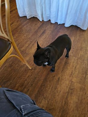  at Hiller in Hannover