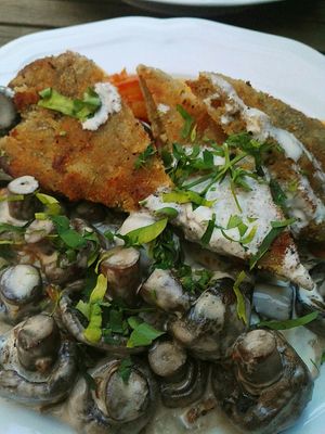 Seitan and mushrooms with creme sauce at Hiller in Hannover