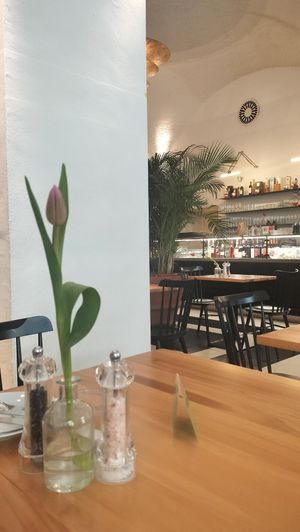  at Prinz Myshkin City in Munich