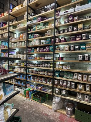   at The Nutmeg in Belfast