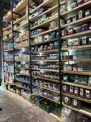   at The Nutmeg in Belfast