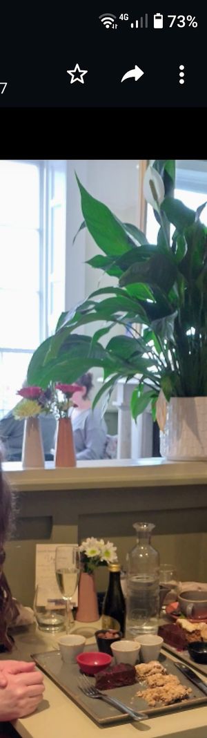  at Quay Co-op Cafe - Sullivan's Quay in Cork