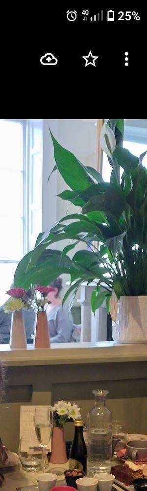 Interior at Quay Co-op Market in Cork