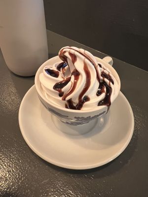 Vanilla soft serve with chocolate syrup   at Cornucopia in Dublin