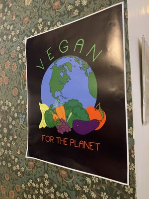   at Cornucopia in Dublin