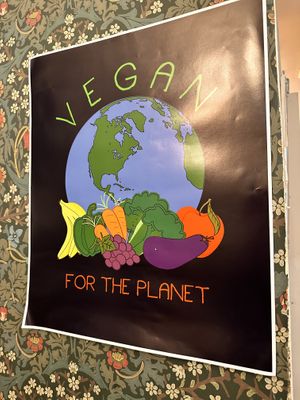   at Cornucopia in Dublin