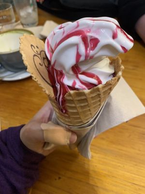 Ice cream with raspberry saucee  at Cornucopia in Dublin