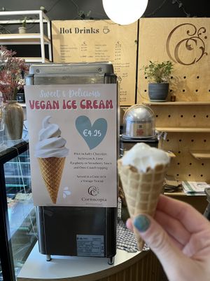 FINALLY FOUND VEGAN SOFT SERVE!!  at Cornucopia in Dublin