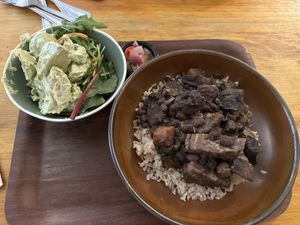 Braised jackfruit, mushroom, black bean with rice. Potato salad and other salad on the side  at Cornucopia in Dublin